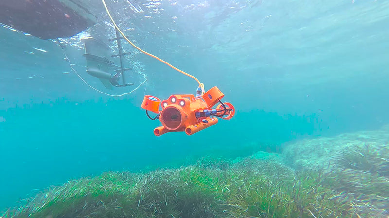 Drone sous-marin BentiX orange en vol stationnaire dans une eau bleue et limpide