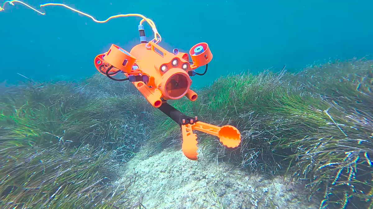 Charger la vidéo: Drone sous-marin BentiX glissant avec précision au-dessus d’un herbier de posidonie