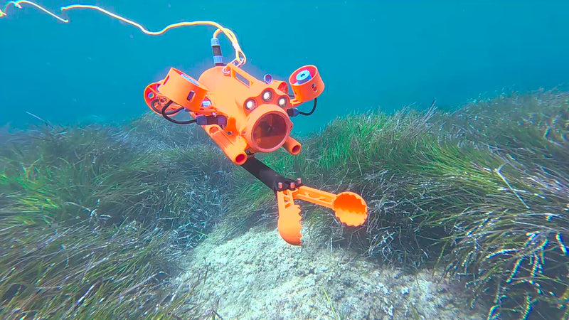 Drone sous-marin BentiX glissant avec précision au-dessus d’un herbier de posidonie