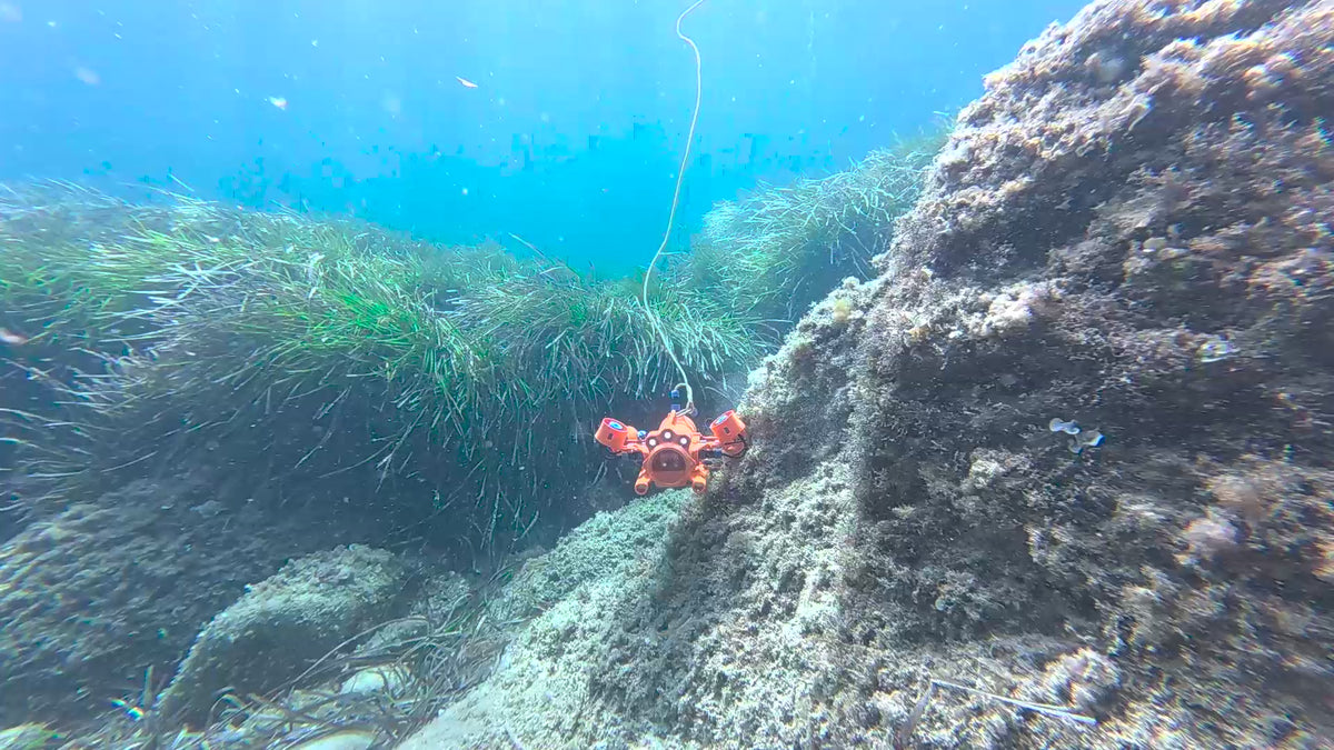 Charger la vidéo: Drone sous-marin BentiX stabilisé en pleine eau au-dessus d’un herbier