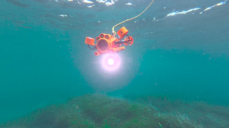 Drone sous-marin BentiX éclairant un fond marin avec sa lampe LED