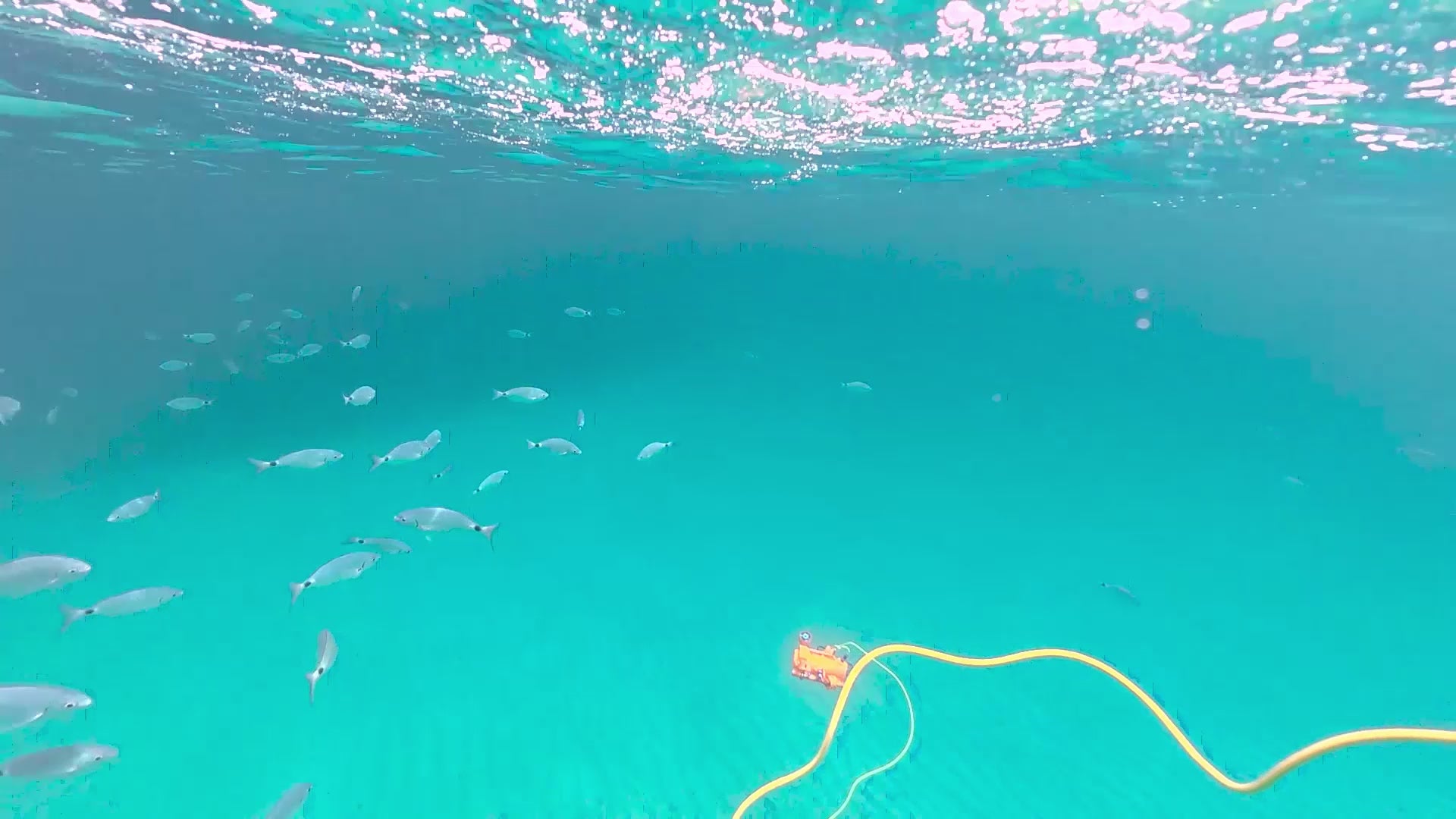 Charger la vidéo: 